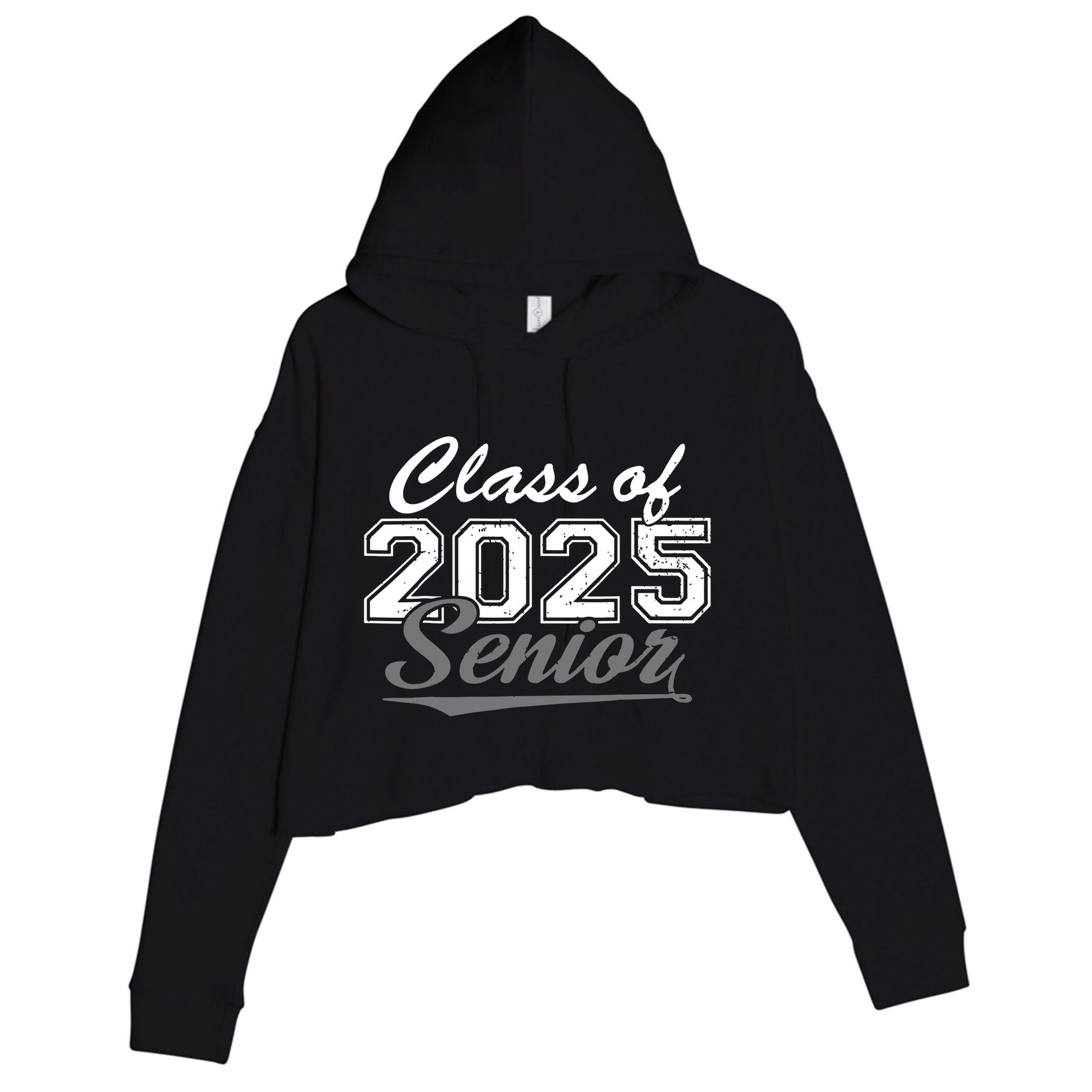 Senior 2025 Class Of 2025 Back To School 2025 Vintage Crop Fleece Hoodie