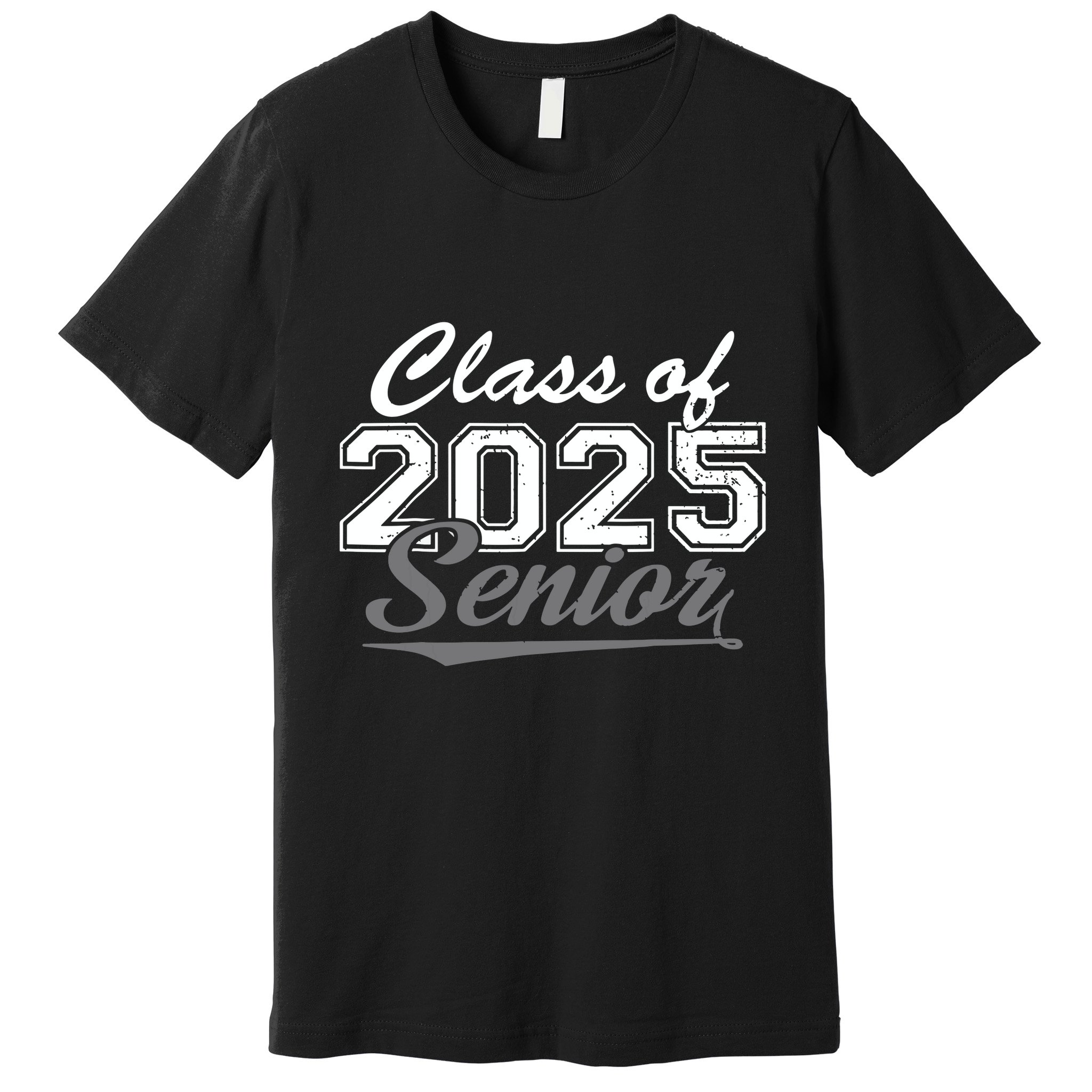 Senior 2025 Class Of 2025 Back To School 2025 Vintage Premium T-Shirt