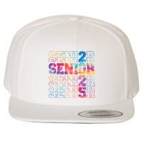 Senior 2025 Class Of 2025 Tie Dye Senior 25 Graduation Wool Snapback Cap