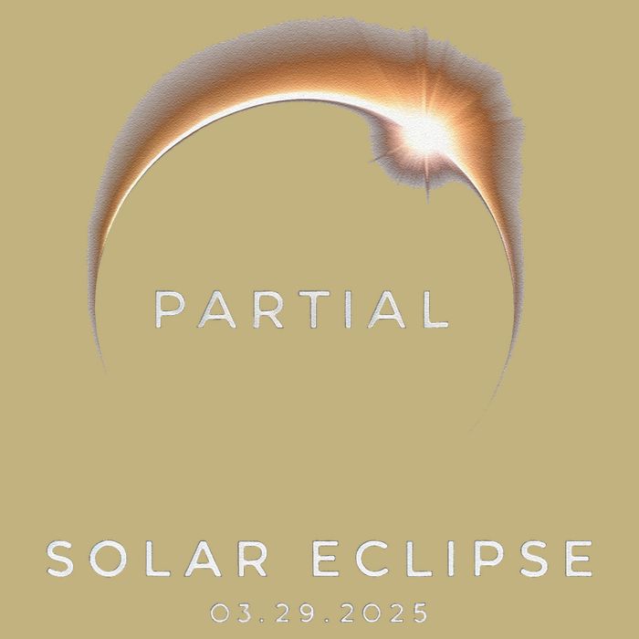 Solar 2025 Eclipse 3.29.25 Partial Solar Eclipse March 2025 T-Shirt