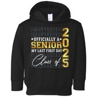 Senior 2025 Graduation My Last First Day Of Class Of 2025 Toddler Hoodie