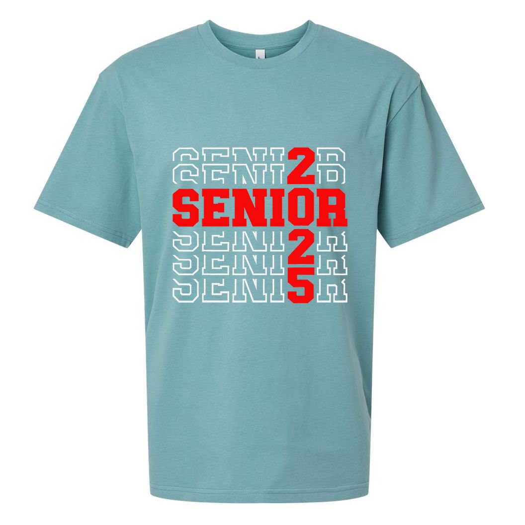 Senior 2025 Graduation 2025 Class Of 2025 Gift Sueded Cloud Jersey T-Shirt