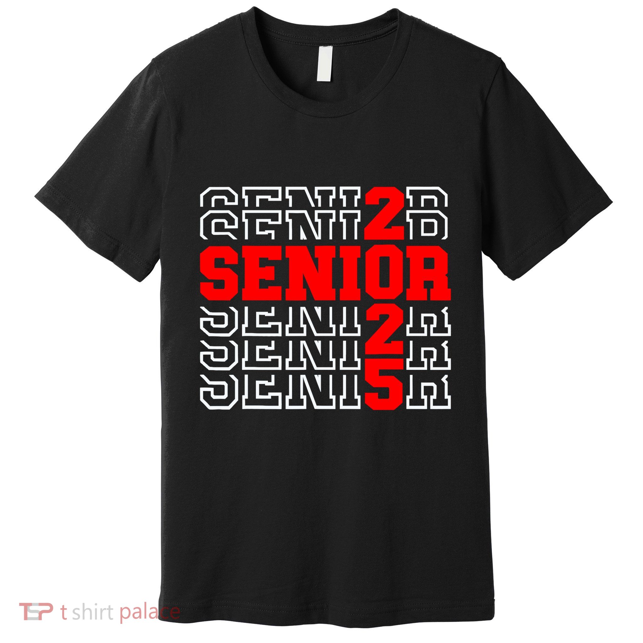 Senior 2025 Graduation 2025 Class Of 2025 Premium T-Shirt