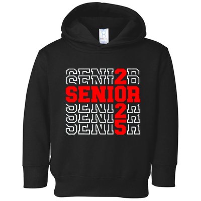 Senior 2025 Graduation 2025 Class Of 2025 Toddler Hoodie
