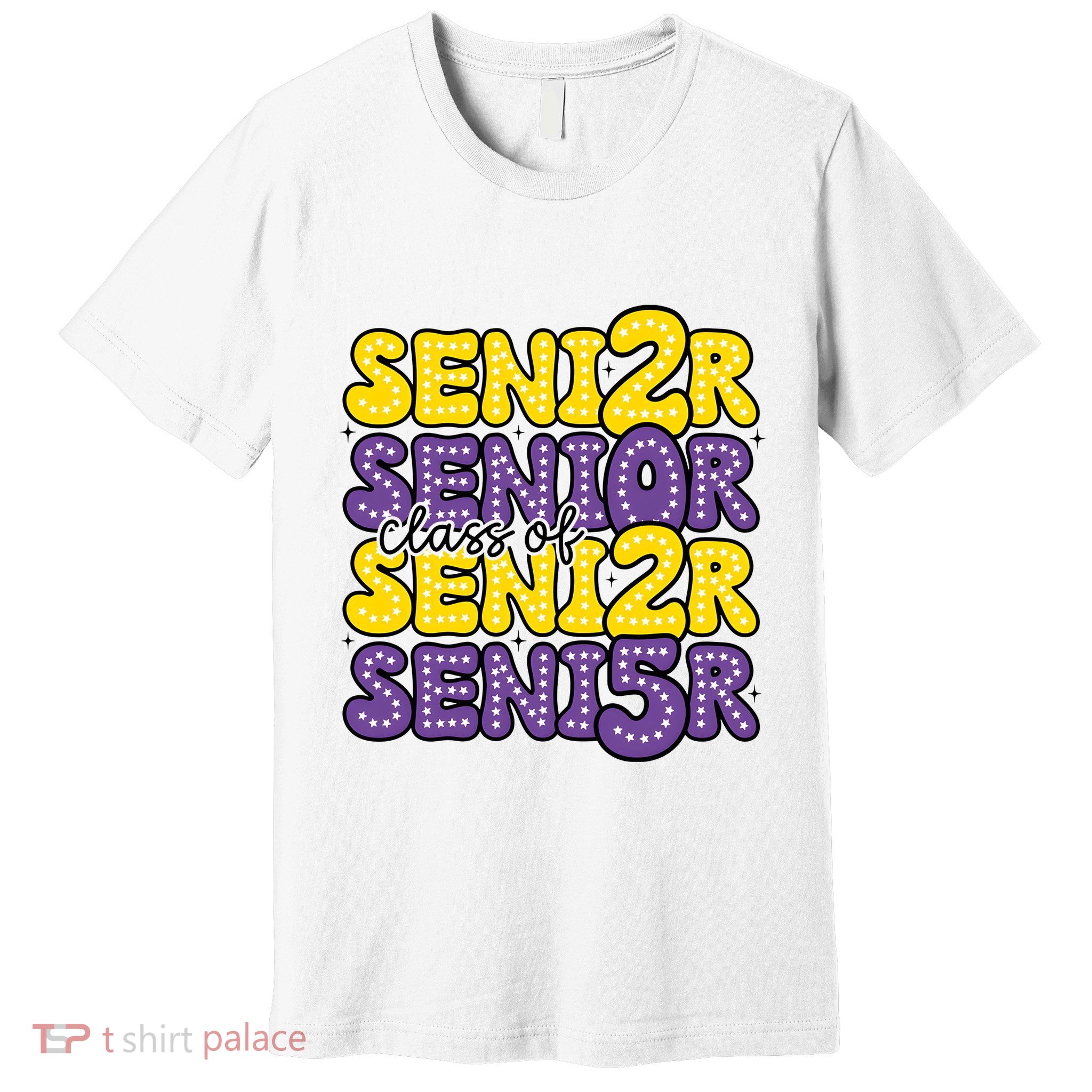 Senior 2025 Retro Graduation Class Of Senior Premium T-Shirt