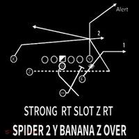 Spider 2 Y Banana Drawstring Bag