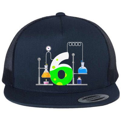 Scientist 6 Years Old 6th Birthday Experiments Science Flat Bill Trucker Hat