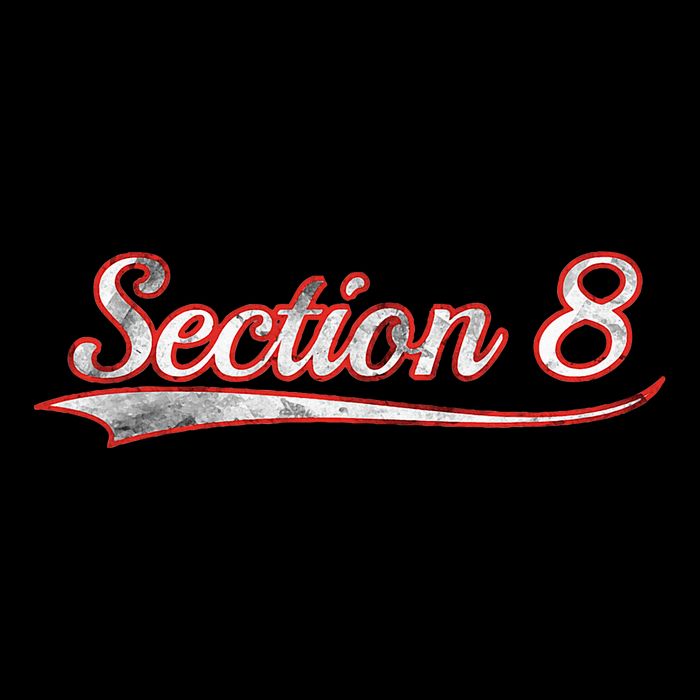 Section 8 Vintage Varsity Distressed Throwback Style Poster