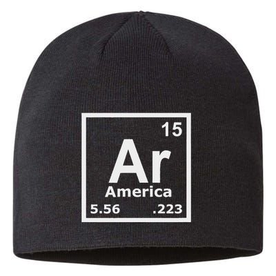 Second Amendment 2a Lost My Guns In A Boating Accident Sustainable Beanie