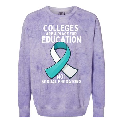 Sexual Assault Awareness Sexual Harrast Survivor Gift Colorblast Crewneck Sweatshirt