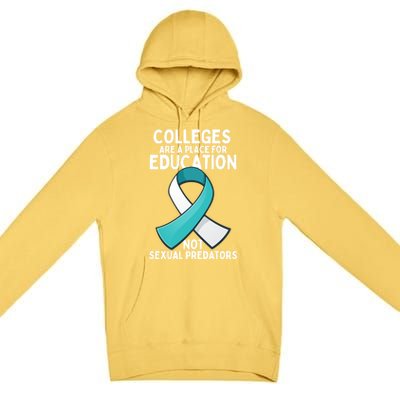 Sexual Assault Awareness Sexual Harrast Survivor Gift Premium Pullover Hoodie