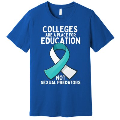 Sexual Assault Awareness Sexual Harrast Survivor Gift Premium T-Shirt