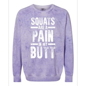 Squats Are A Pain In My Butt Funny Fitness Gym Lovers Great Gift Colorblast Crewneck Sweatshirt