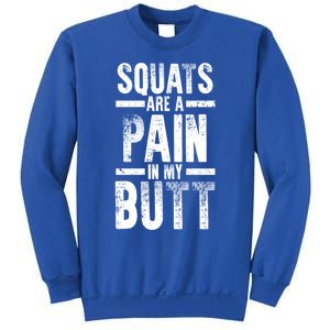 Squats Are A Pain In My Butt Funny Fitness Gym Lovers Great Gift Sweatshirt