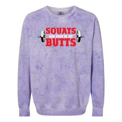 Squats Are A Pain In My Butt Bodybuilding Leg Day Fitness Funny Gift Colorblast Crewneck Sweatshirt