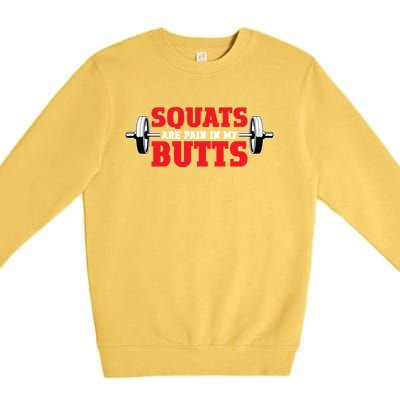 Squats Are A Pain In My Butt Bodybuilding Leg Day Fitness Funny Gift Premium Crewneck Sweatshirt