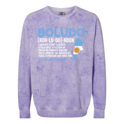 Sarcastic Argentinian Argentina Funny Boludo Definition Meaningful Gift Colorblast Crewneck Sweatshirt