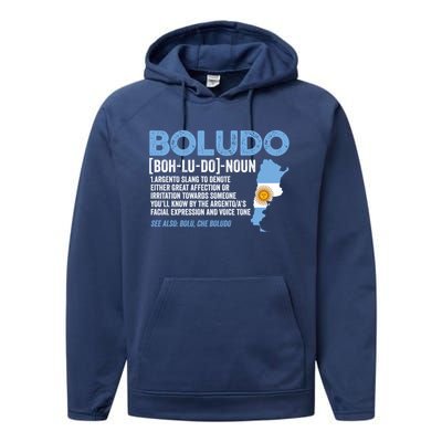 Sarcastic Argentinian Argentina Funny Boludo Definition Meaningful Gift Performance Fleece Hoodie