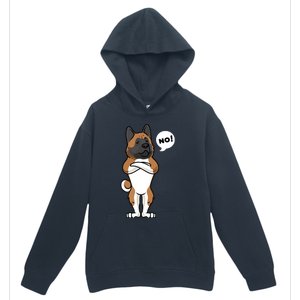 Stubborn American Akita Dog Urban Pullover Hoodie