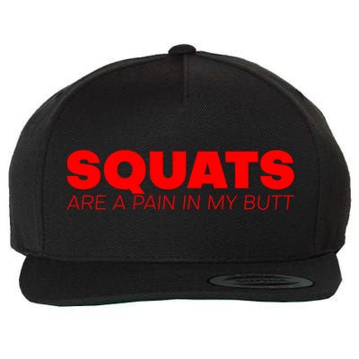 Squats Are A Pain In My Butt Meaningful Gift Wool Snapback Cap