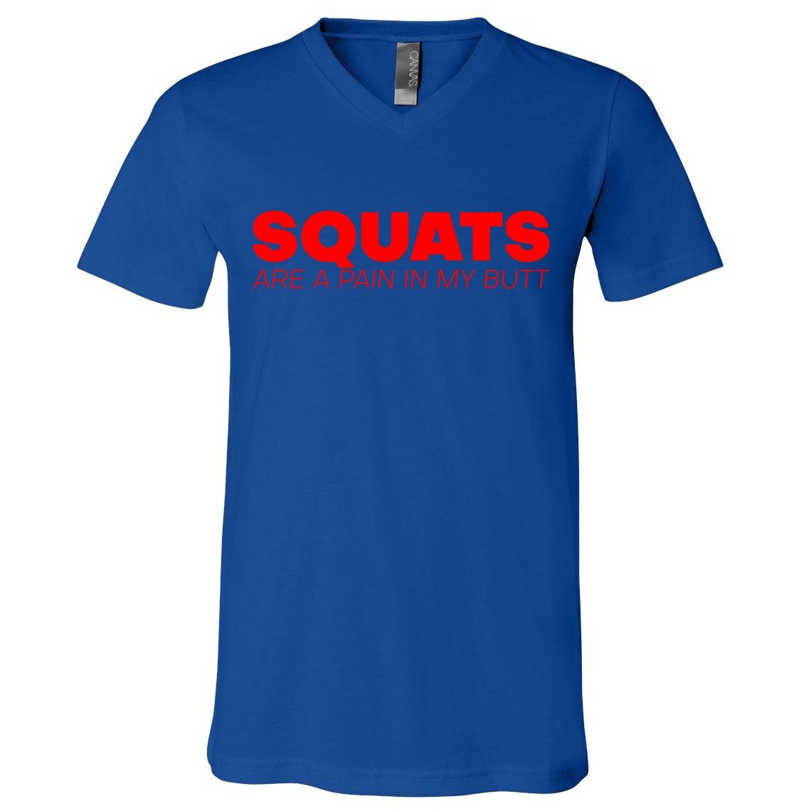 Squats Are A Pain In My Butt Meaningful Gift V-Neck T-Shirt
