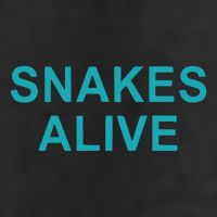Snakes Alive Arizona Baseball 11oz C Handle Ceramic Mug