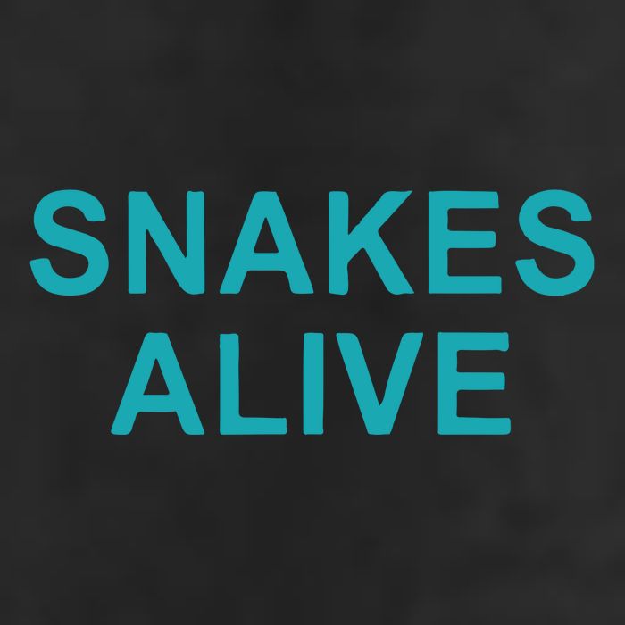 Snakes Alive Arizona Baseball 11oz C Handle Ceramic Mug
