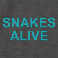 Snakes Alive Arizona Baseball Vector Backpack
