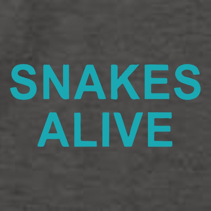 Snakes Alive Arizona Baseball Vector Backpack
