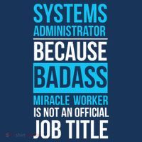 System Administrator Beanie