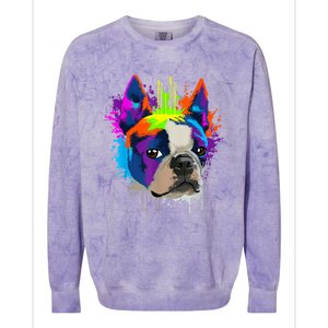 Splash Art Boston Terrier Dog Owner Gift Idea Dog Colorblast Crewneck Sweatshirt