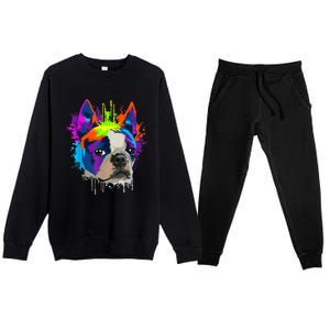 Splash Art Boston Terrier Dog Owner Gift Idea Dog Premium Crewneck Sweatsuit Set