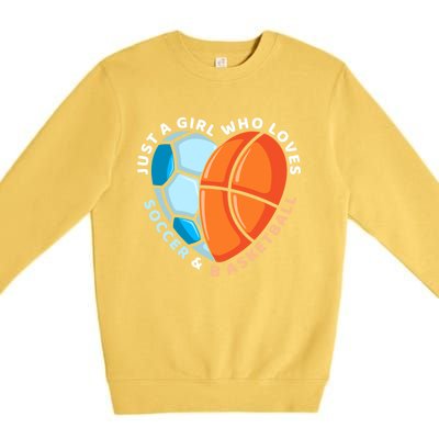 Soccer And Basketball Funny Gift Premium Crewneck Sweatshirt