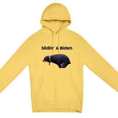 Slidin' A Biden Premium Pullover Hoodie