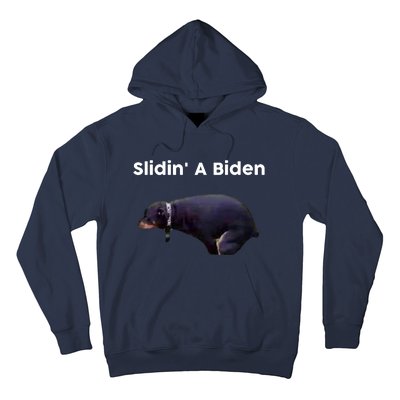 Slidin' A Biden Hoodie