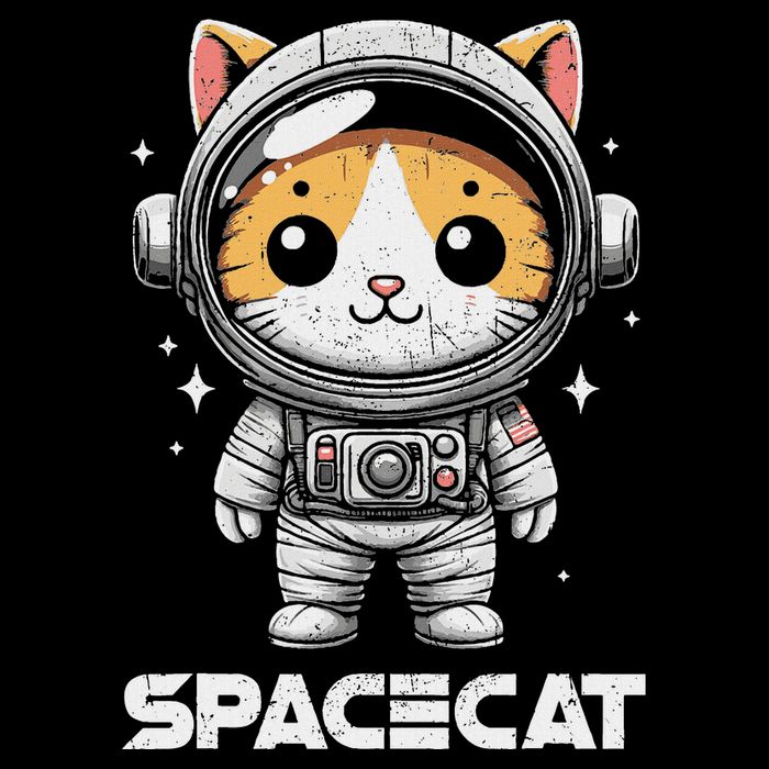 Spacecat Astronaut Cat Kitten Spaceman Cosmonaut Distressed 16 in Basic Backpack
