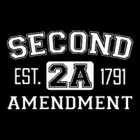 Second Amendment College University Style Wool Snapback Cap