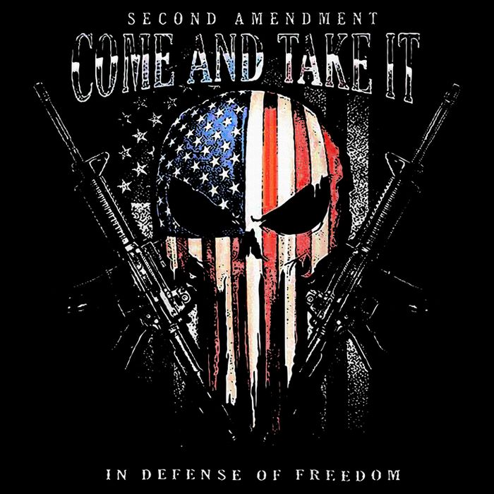 Second Amendment Come And Take It In Defense Of Freedom 16 in Basic Backpack