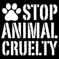 Stop Animal Cruelty Awareness Paw Print Bucket Hat