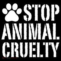 Stop Animal Cruelty Awareness Paw Print 16 in Basic Backpack