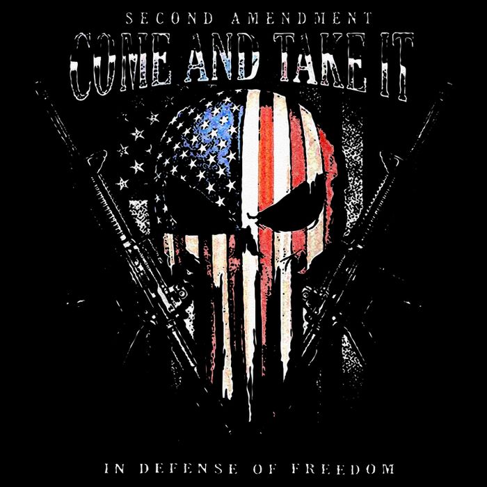 Second Amendment Come And Take It In Defense Of Freedom T-Shirt