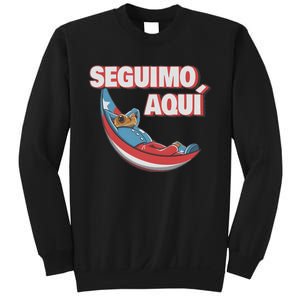 Seguimo Aqui Debi Tirar Album Mas Fotos Frog Lover Design Sweatshirt