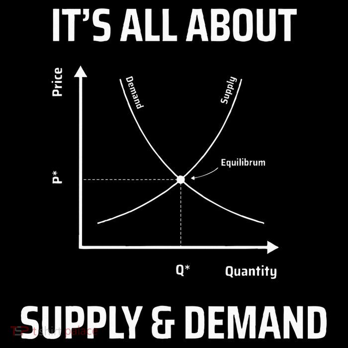 Supply And Demand Funny Economics Teacher & Economist Kids T-Shirt