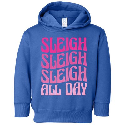 Sleigh All Day Embrace Winter Christmas Cheer Gift Toddler Hoodie