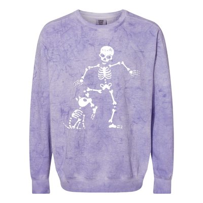 Skeleton And Dog Halloween Costume Funny Skull Women Colorblast Crewneck Sweatshirt