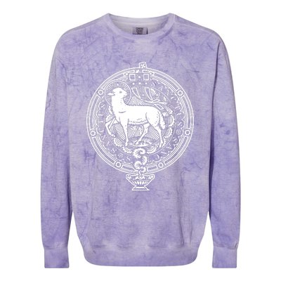 Sanctus Agnus Dei Lamb God Catholic Traditional Latin Mass Colorblast Crewneck Sweatshirt