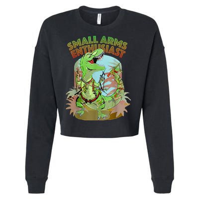 Small Arms Enthusiast Funny Trex Dinosaur Gun Cropped Pullover Crew