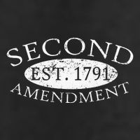 Second Amendment Est. 1791 Right To Bear Arms Adult Drive Performance Visor