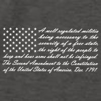 Second Amendment Flag Vector Backpack