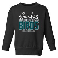 Sundays Are For The Birds Football Philadelphia Toddler Sweatshirt